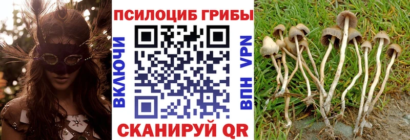 Псилоцибиновые грибы GOLDEN TEACHER  hydra   Невьянск  хочу  